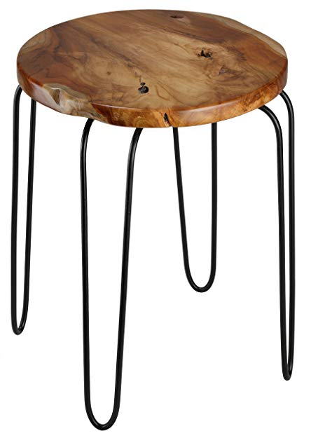 Lacie End Table with Teak Root Top